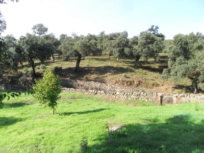 Iberico farm in Jabugo, Huelva