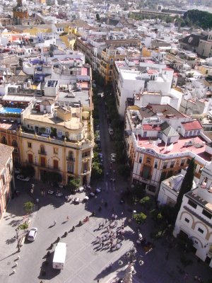 View of Sevilla from the Catedral
