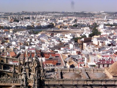 View of Sevilla from the Catedral