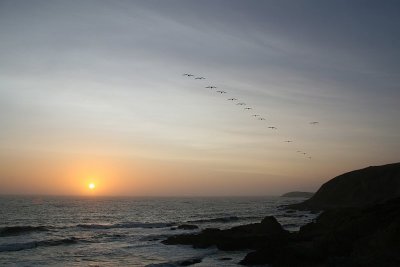 Flying into the Sunset