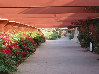 Taliesin West