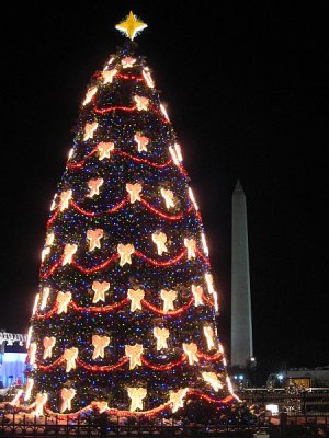 National Christmas Tree