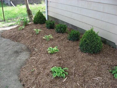Landscaping