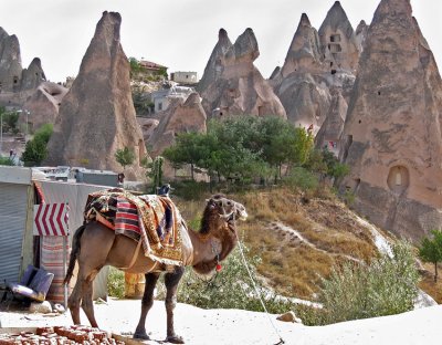 Cappadocia tourist camel - I took these from a nearby shop.