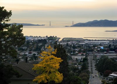 San Francisco Bay and Bridge from Moser Lane, Mid-zoom