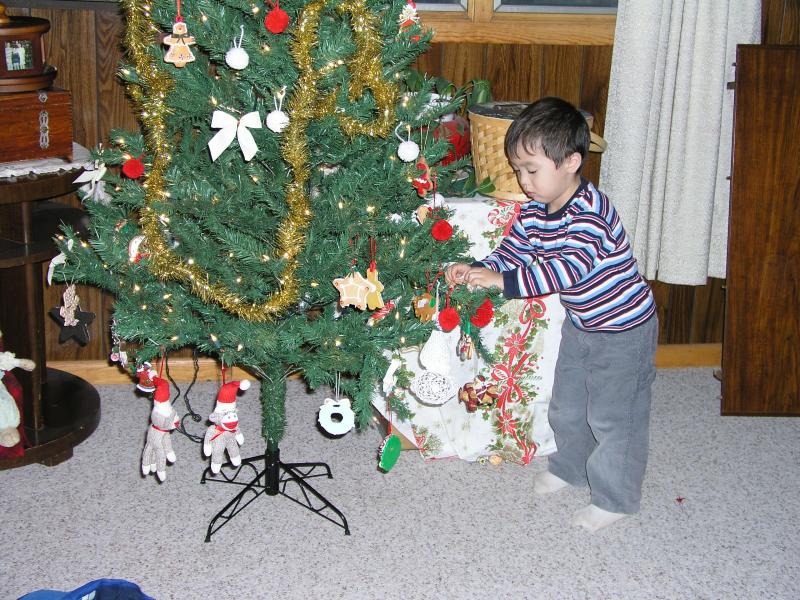 Kyle Decorating the Christmas tree