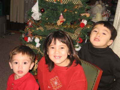 Noah, Sarah, and Kyle after decorating the Christmas tree