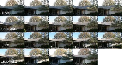 collage.jpg