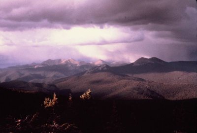 0008_BMP.jpg