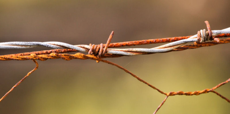 Barbed Finger - man made and monstrous