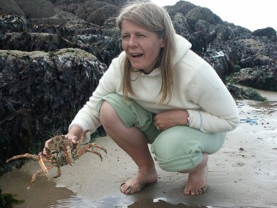 Finding a Crab