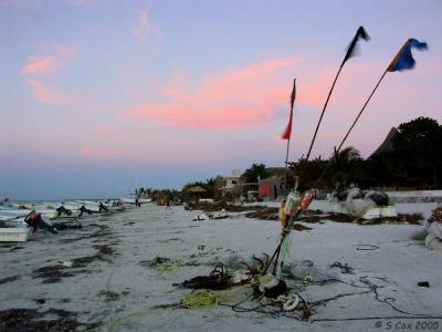 Flags in a Sea Breeze by SCox