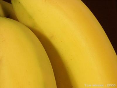 Going Bananas by Tom W.