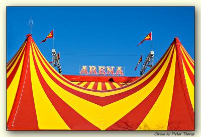 2nd: Circus by Peter Thorup