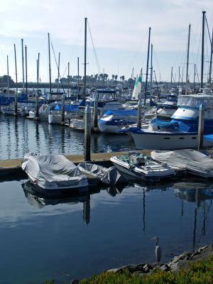 g3/97/332397/3/55501225.Heron_Boats.jpg