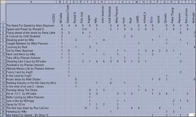 Exhibition votes