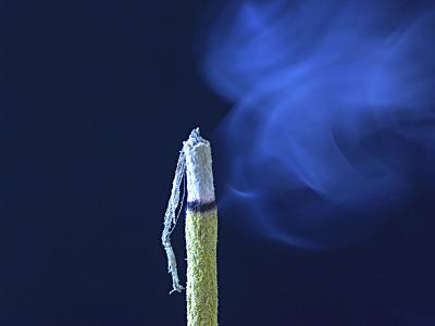 g3/97/332397/3/57245330.IncensefortheAncestors01Small.jpg