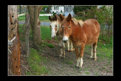 g3/97/332397/3/58731803.PICT0055.jpg