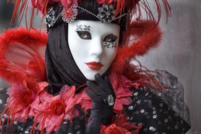 g3/97/383697/3/56738243.Redflowerspbase22.jpg