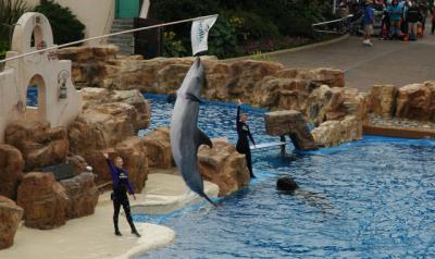 Soaring high at Sea World