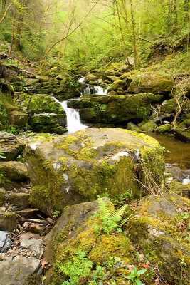 Lynmouth Gorge Devon