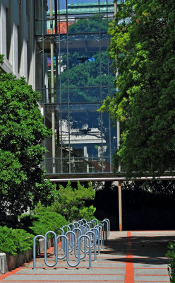DPP_3752a.jpg