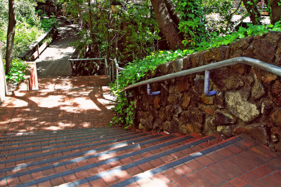 DPP_3807a.jpg