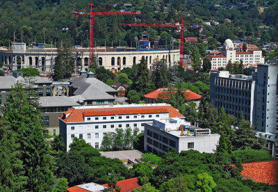 DPP_3832.jpg