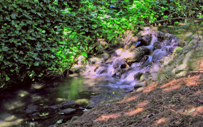 DPP_3951a.jpg