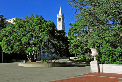 DPP_4184a.jpg
