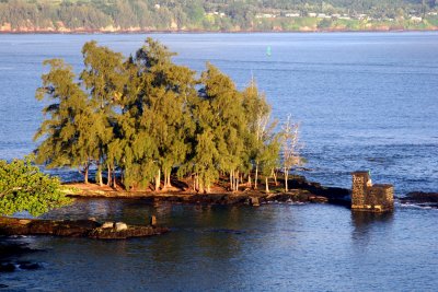 aIMG_6538.jpg