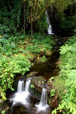 aIMG_6604.jpg