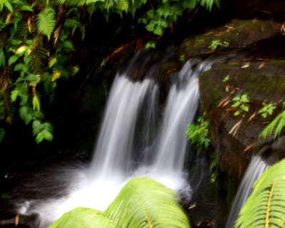 aIMG_6661.jpg