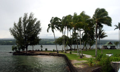 aIMG_6815.jpg