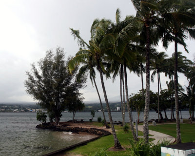 aIMG_6823.jpg