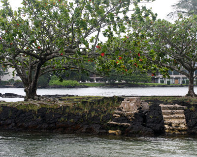 aIMG_6911.jpg