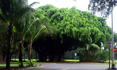 aIMG_6964.jpg