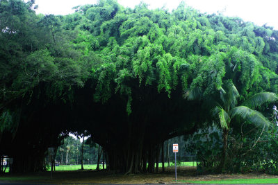 aIMG_6973.jpg