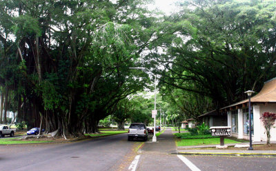 aIMG_7046.jpg