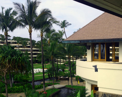 aIMG_5451.jpg