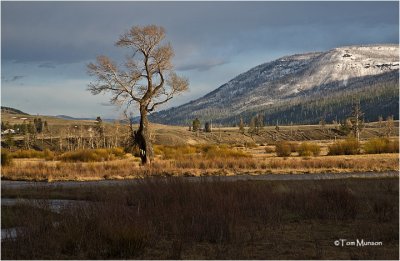 east end of the  Lamar Valley