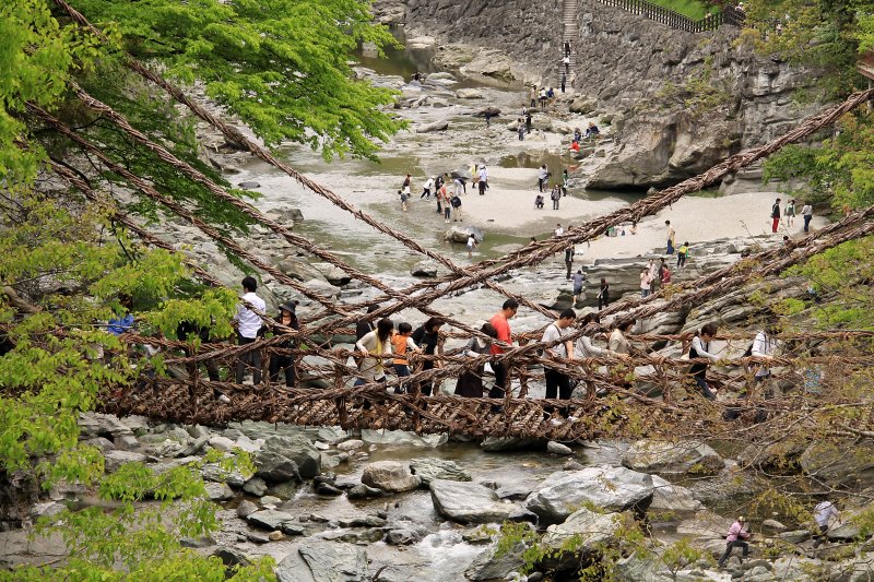 Crowds on the Nishi Iya Kazura-bashi (vine bridge)