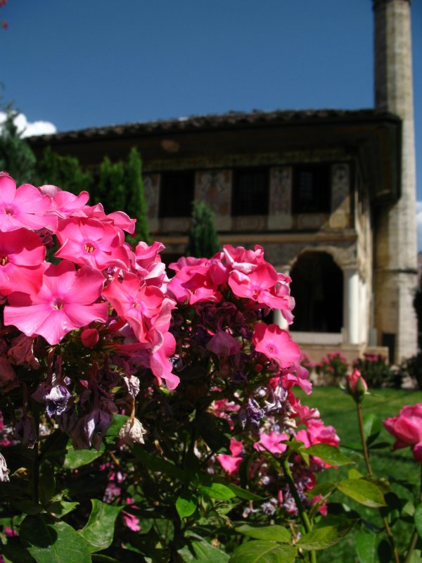 Courtyard flowers, Colored Mosque