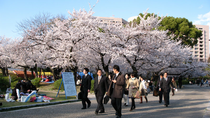 Salarymen strolling past hanami parties