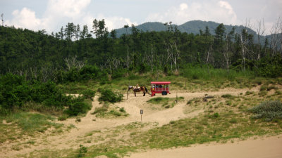 Horse-pulled wagon in the distance