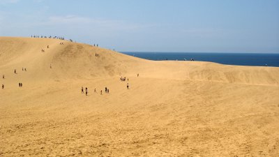 A farewell to the dunes