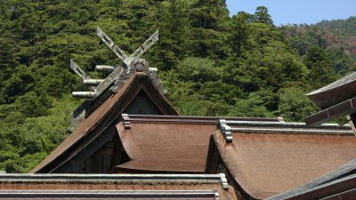 Rooftops of the Honden (Main Hall)