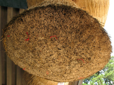 Underside of the shimenawa