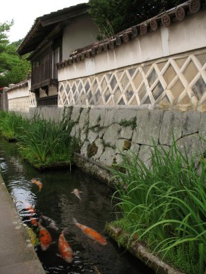 Carp in the stream outside Yōrō-kan