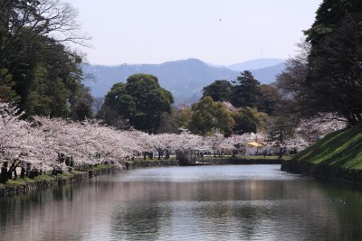 Sakura-lined moat and distant Suzuka range
